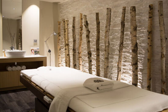 spa hotel daria i nor alpe d'huez