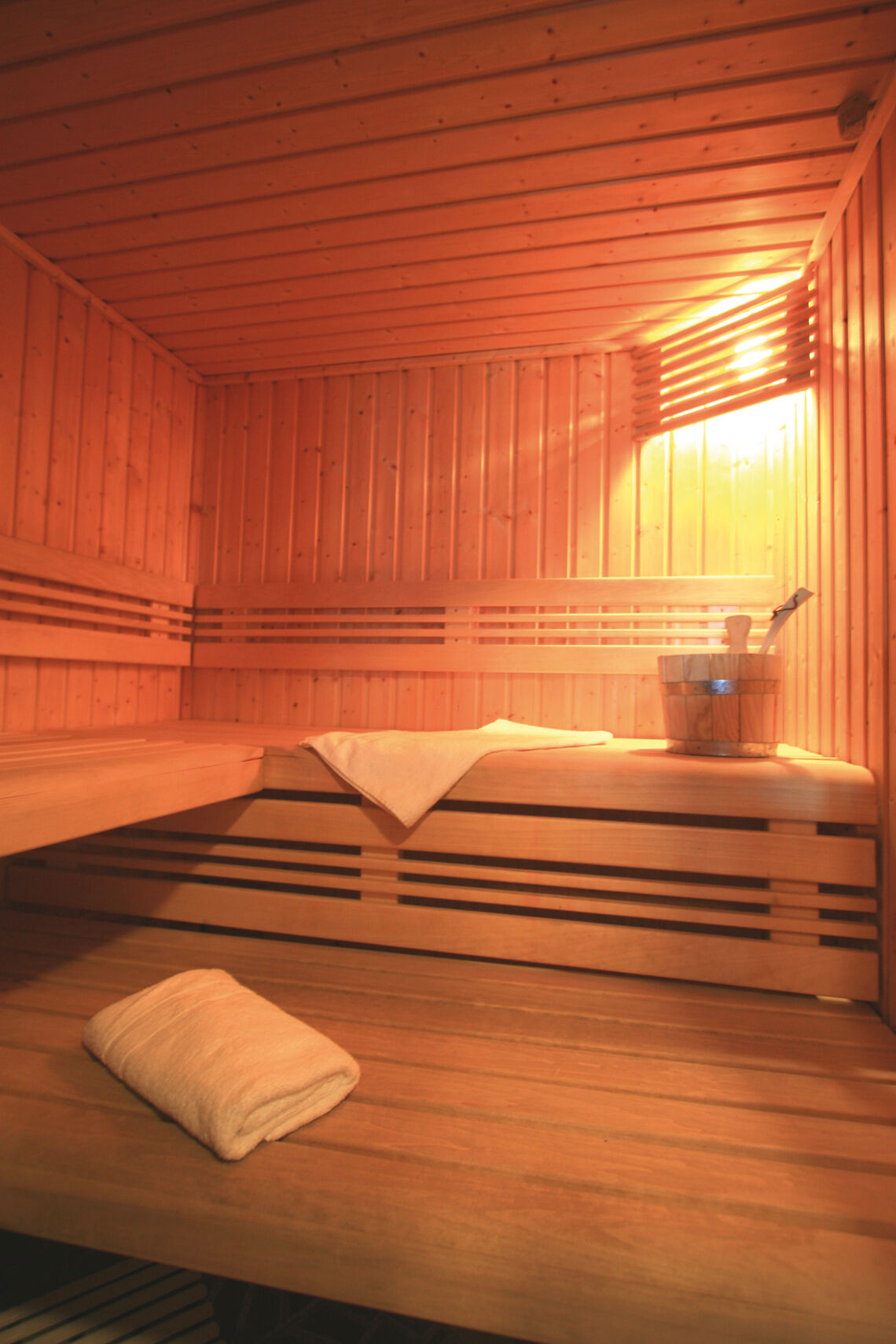 L'Arollaie's sauna