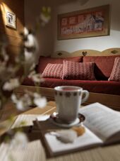 Reine Des Pres, Samoens, Living Room