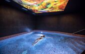 pool residence edenarc, Les Arcs