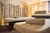 spa hotel daria i nor alpe d'huez 2