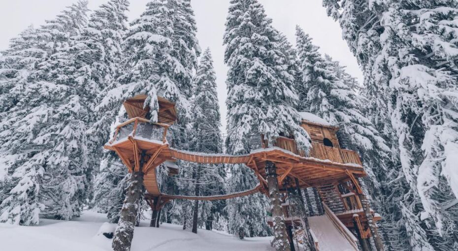 Avoriaz Stash in the snow