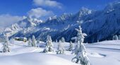 Snowy trees and mountains in Chamonix