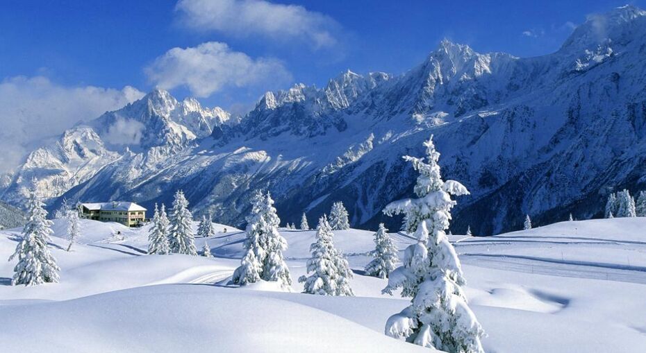 Snowy trees and mountains in Chamonix