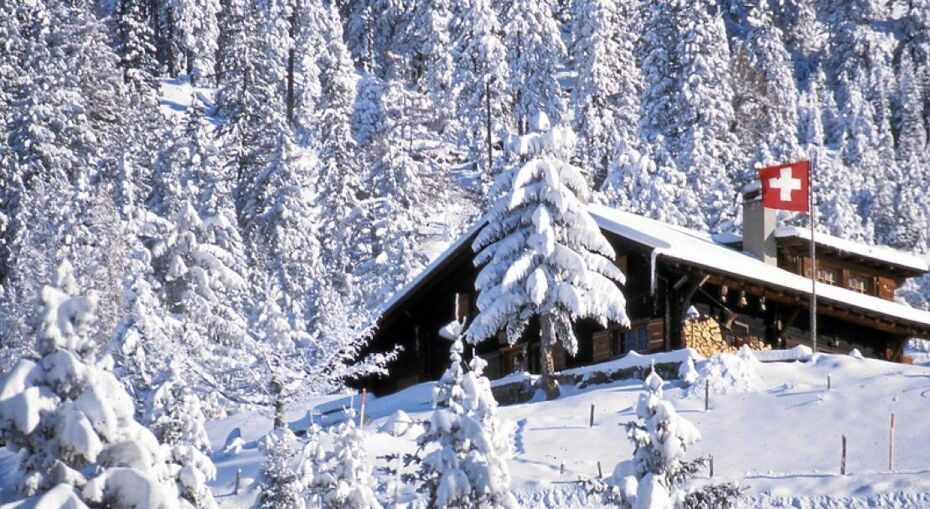 Snow covered trees in Villars