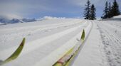Nordic skiing in Les Saisies