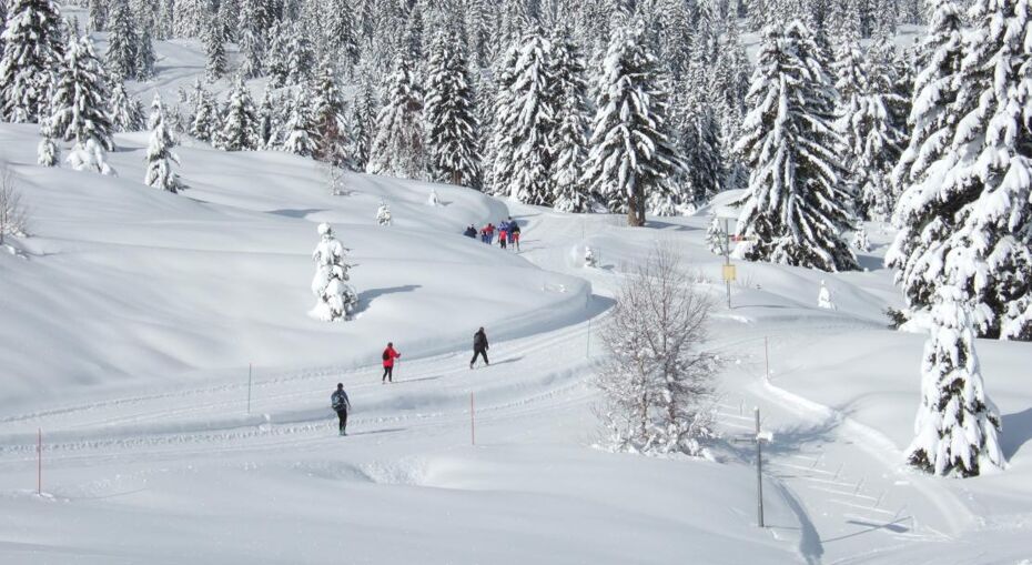 A very popular cross country skiing destiniation
