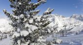 Lifts in Isola