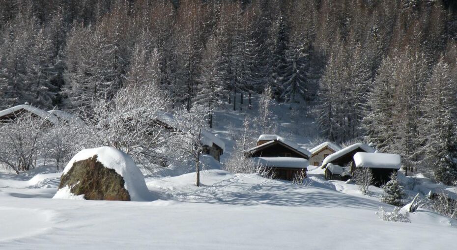 One of the beautiful pistes in Vallorcine - France