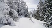 Powdery conditions in La Rosiere©Propaganda 