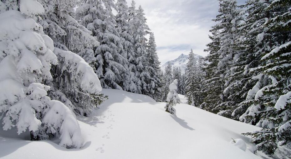Powdery conditions in La Rosiere©Propaganda 