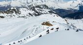 Luge Les Arcs