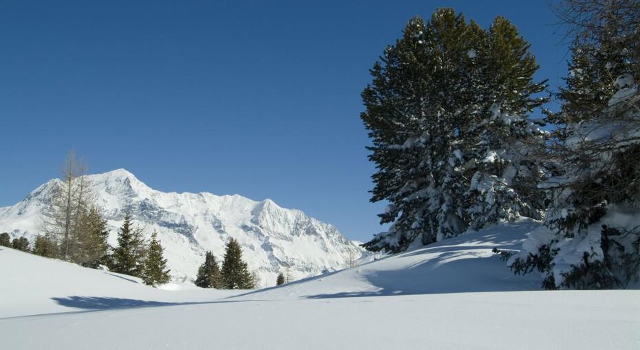Les Coches Slopes
