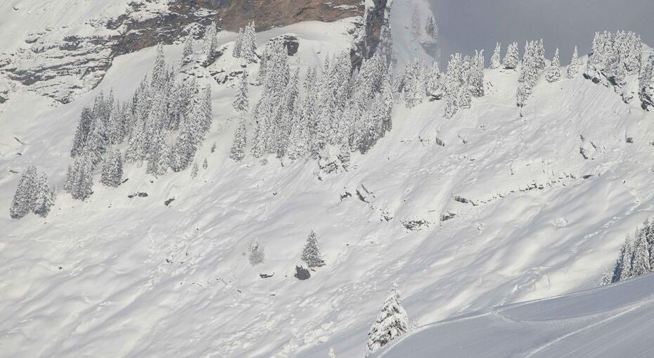 Morzine France, Off Piste, Matthieu Vitre
