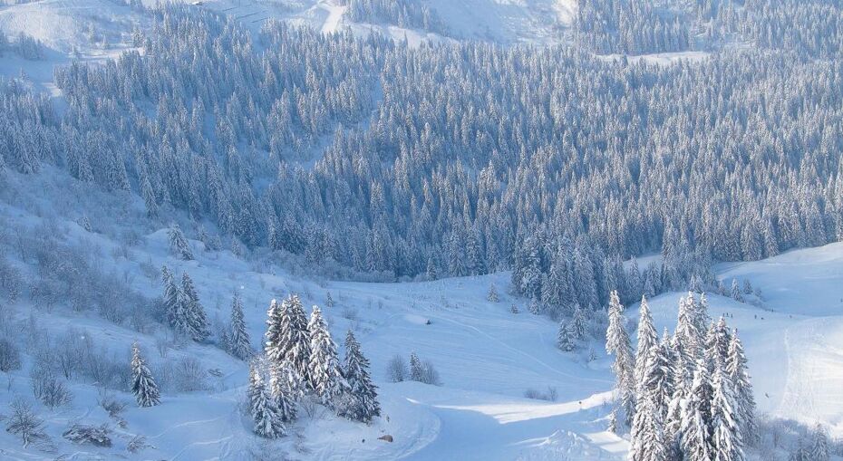 Morzine, France, Matthieu Vitre