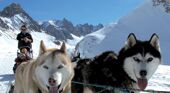 Dog Sledding in Valloire