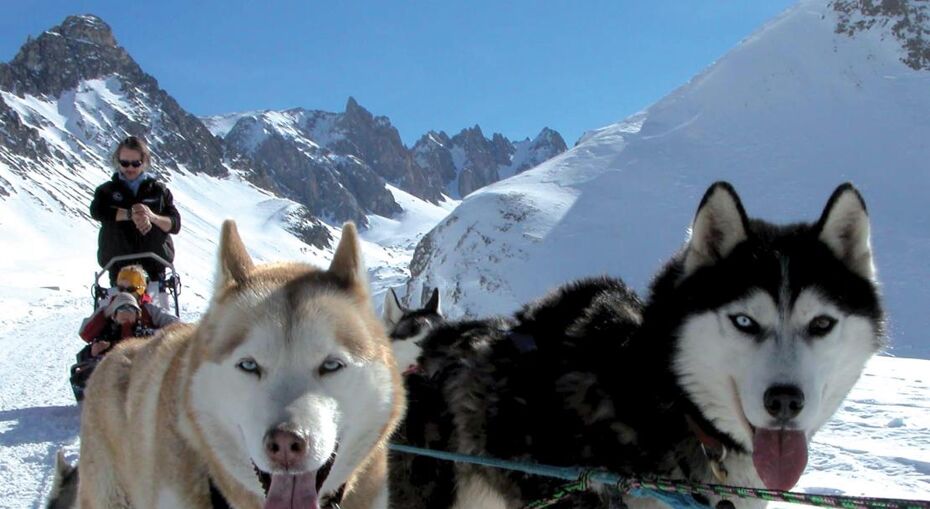 Dog Sledding in Valloire