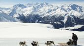 Dog Sledding in Verbier