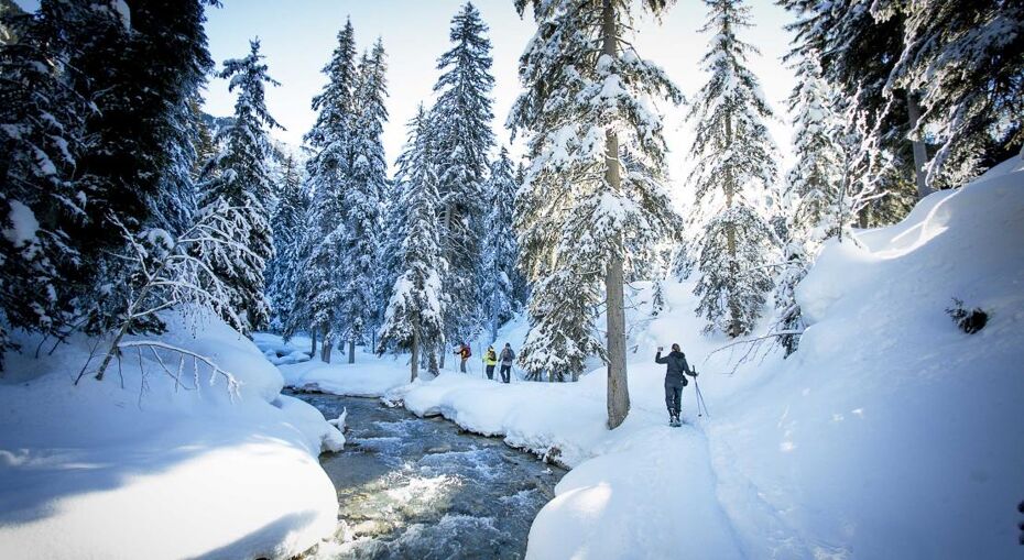 Courchevel, France, Patrice Mestari