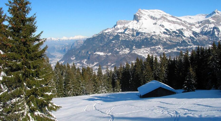 Saint Gervais off piste through the trees