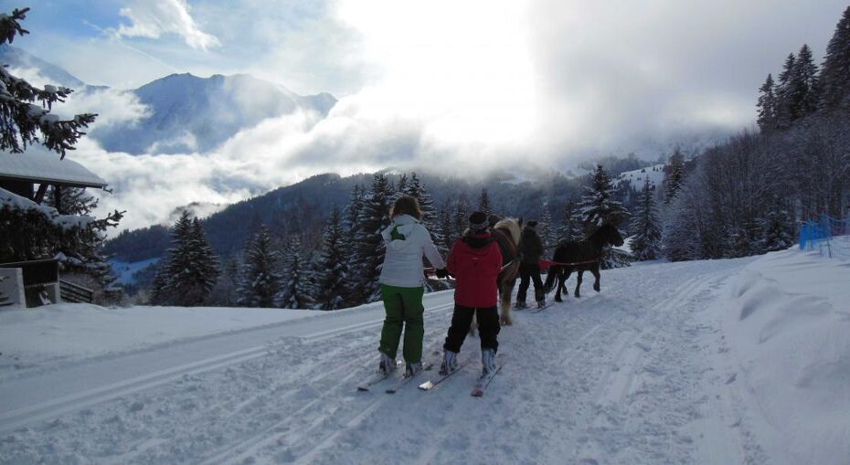 Ski Joëring in Saint Gervais