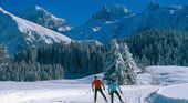 Cross-country in Engelberg