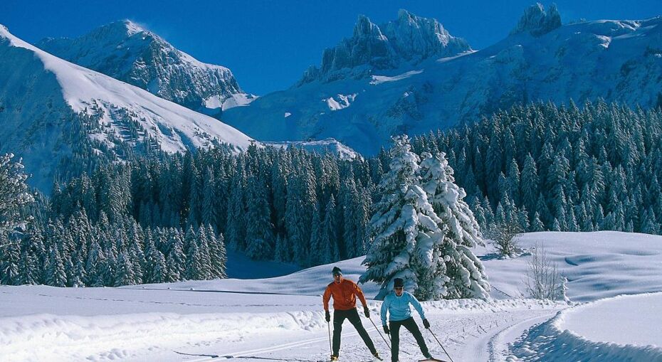 Cross-country in Engelberg