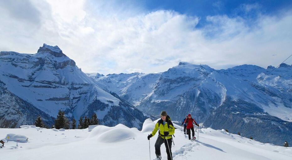 Engelberg Shoeshoeing