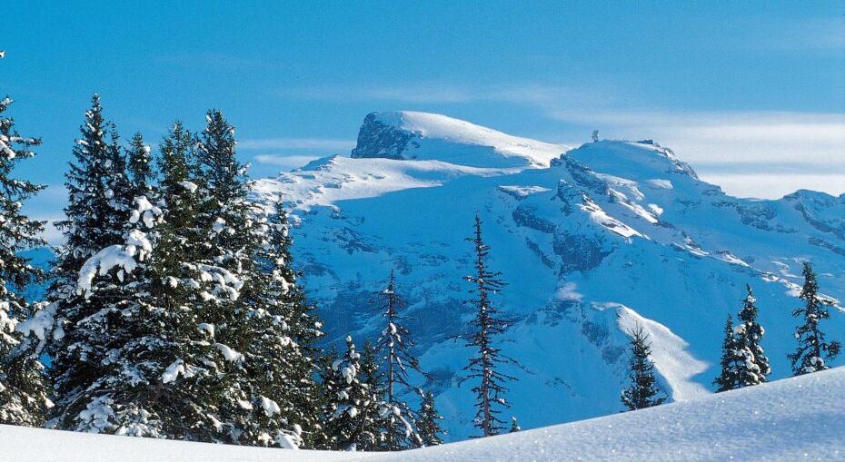 Mountains in Engelberg