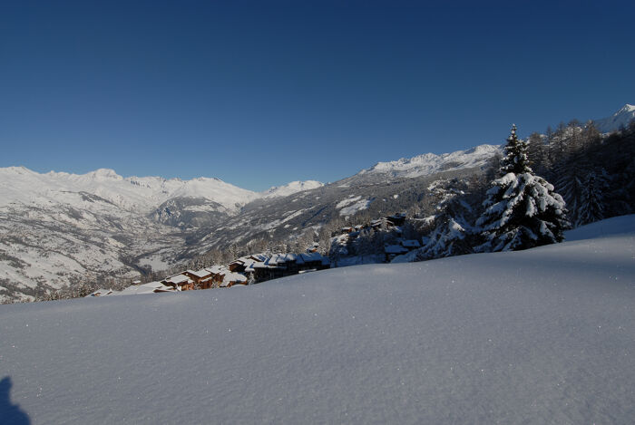 Les Coches Montachavin