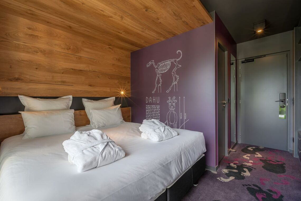 Alpina Eclectic Hôtel & Spa, Double Room