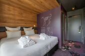 Alpina Eclectic Hôtel & Spa, Double Room