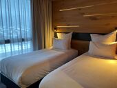 Alpina Eclectic Hôtel & Spa, Standard Twin